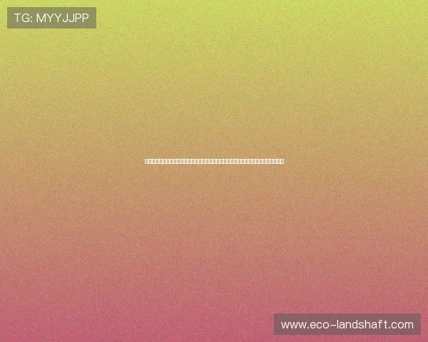 澳门新京网址为用户提供详细的世界杯球队分析和赛前预测,助你了解比赛背后精彩故事 澳门新京网址为用户提供详细的世界杯球队分析和赛前预测,助你了解比赛背后精彩故事